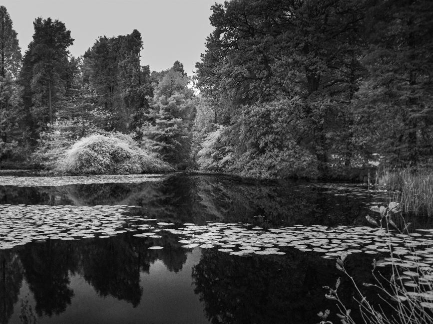 WI901 Bedgebury 10 11 24